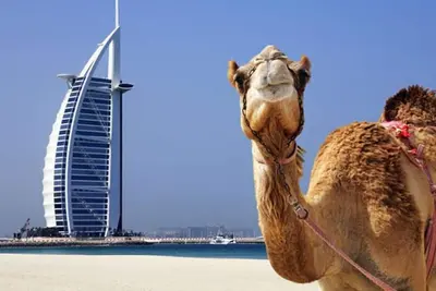 Image de 2 Bedroom Apartment at Dubai Marina