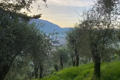 Image de Rural House In Mount Of Roses