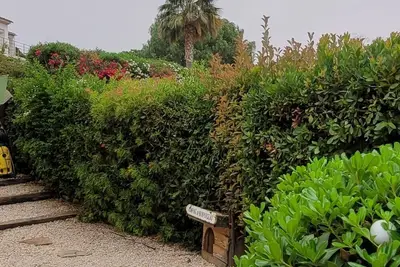 Image de Villa Cavalaire pour 6 pers dans un cadre verdoyant.