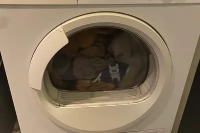 Image de Appartement sécurisé Tml Tomorrowland avec taxi 24h\/7 inclus