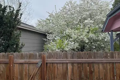 Image de Piano and small dog lovers shared home!