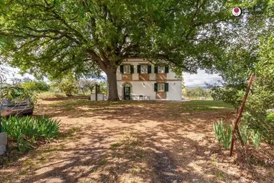Image de Under The Oak - Holiday Real Estate Point