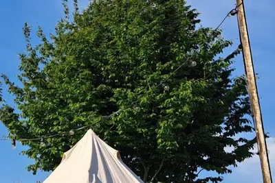 Image de Ontwaak met het Geluid van de Natuur en Geniet van het Landelijke Staden
