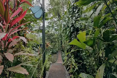 Image de Morpho - adventurous Treehouse with amazing 360 view with pool and wifi access