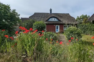 Image de Dieses Große Familienferienhaus Liegt im Herzen Borns