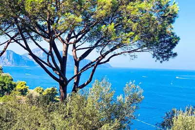 Image de Amore Rentals - Villa Punta San Lorenzo with Terraces and Sea View