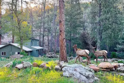 Image de Riverside Hideaway- A Private & Relaxing Cabin on East Verde!