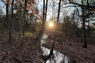 Image de Tranquil cabin with Ac and 2 creeks on secluded 5 acres with WiFi