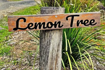 Image de Lemon Tree Cottage - The epitome of relaxation: your own cabin in the woods.