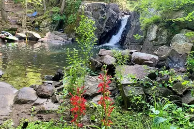 Image de Waterfall Way Barn Retreat