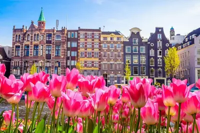 Image de Entire House With Pvt Garden & Pool - Minutes From Amsterdam Central