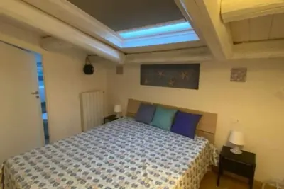 The Tyrrhenian Oasis - Starfish