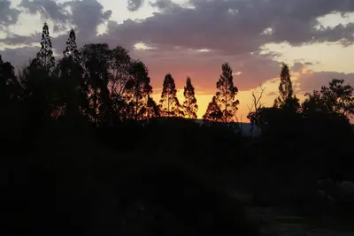 Image de Severnview Accommodation - 4 bed Luxury Accommodation on 100 acres in Ballandean