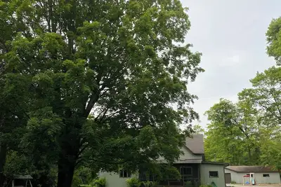 Image de Cozy 3-bedroom cottage with WiFi in Washington