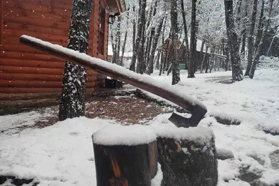Image de ÇAMPINARI DOĞA EVLERİ & Restaurant