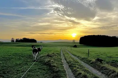 Image de Nature and vision! Barrier-free apartment in the countryside with a modern ambience