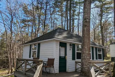 Image de Cabin surrounded by Lustrous Pine trees_Cabin 14