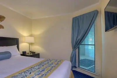 Image de Tampa Bay 1br - Great for Medical Travelers