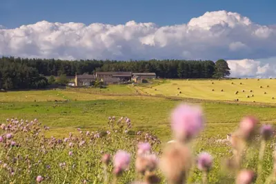 Image de Tranquil 3 Bed - All En Suite - Cottage in Hexham