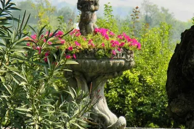 Image de Historic home