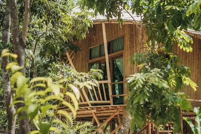 Image de Come and live an experience inside the Mayan Jungle and its 7 Colors Lagoon.