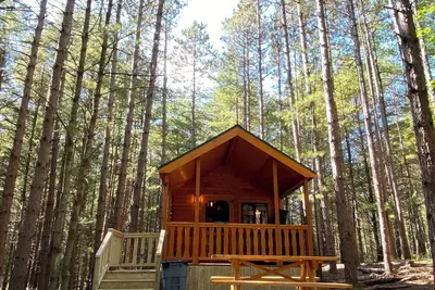 Image de Happy Bear Log Cabin near Cook Forest State Park