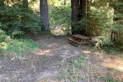 Image de Campsite #8a with Hot Water Shower Enchanted Forest Retreat
