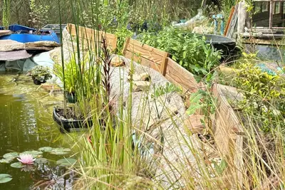Image de A L'Entree De La FORÊT De La Ste Baume\nMAISON Entiere, 2500 m2 de terrain