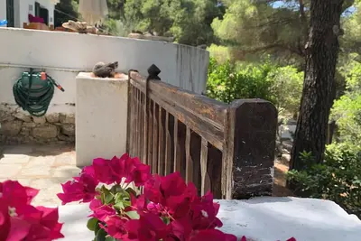 Image de Discover Your Enchanting Retreat in Villa Rhodos Skiathos