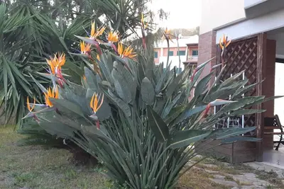 Image de Beautiful villa in Formia