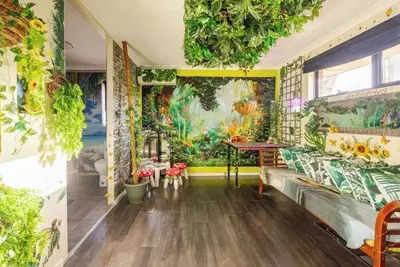 Image de Enchanted rainforest sanctuary
