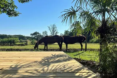 Image de Gîte les Millères - Maison de Campagne avec animaux et pré pour chevaux
