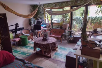 Image de J. O 2024 et Paris en journée\nRepos tropical en famille/entre amis en soirée