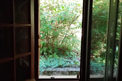 Image de Maison dans son grand écrin de verdure