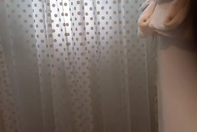 Image de Poland and Ireland  in Jamaica among great nation people that transformed Island