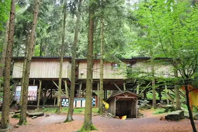 Image de Gruppenbaumhaus - Baumhotel