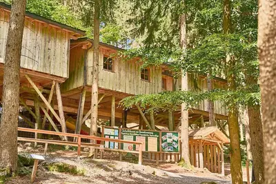 Image de Waldzimmer - Baumhotel