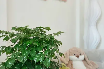 Image de Cozy studio in pleasant Hà Nội with WiFi, Ac