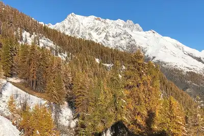 Image de Appartement En RÉSIDENCE Pres De Piste