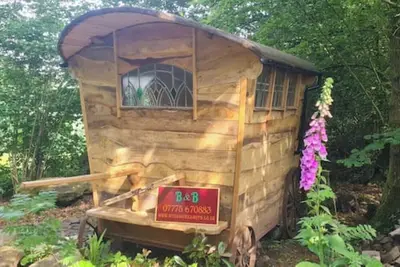 Image de Gypsycaravan, Wye Valley, Tintern, Forest of Dean,