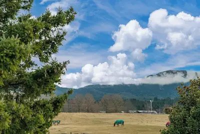 Image de Riverside Haven - Turangi Holiday Home