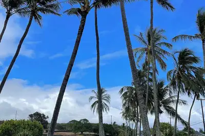 Image de Lovely beach view condo in Poipu!