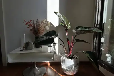 Image de Spacious apartment Ciutadella park