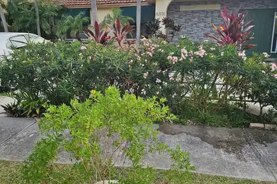 Image de Lovely cozy house with pool in a quiet safe family neighborhood