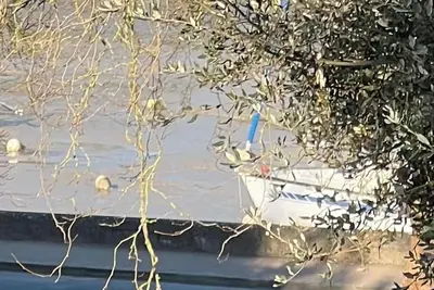 Image de Gourmalon Rez de jardin à proximité immédiate du Vieux Port face au château
