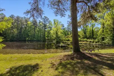 Image de Pond | Kids Room | Kayak | Fish | Trails