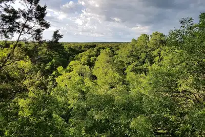 Little House with a View
