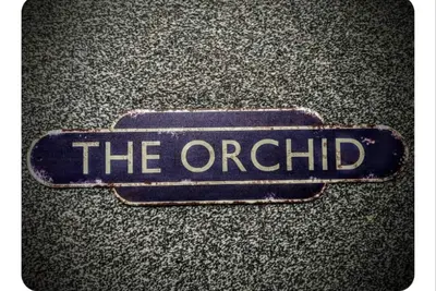 Image de The Orchid