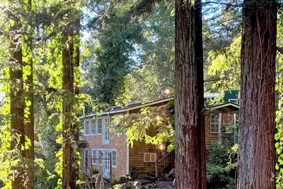 Image de The Ivywood ~ Hot Tub, Pet Friendly, Vintage-Chic!