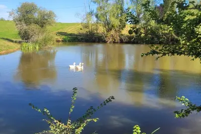 Image de Gîte Le Grand Castillon - Pêche étangs et foret privés - Spa(option)